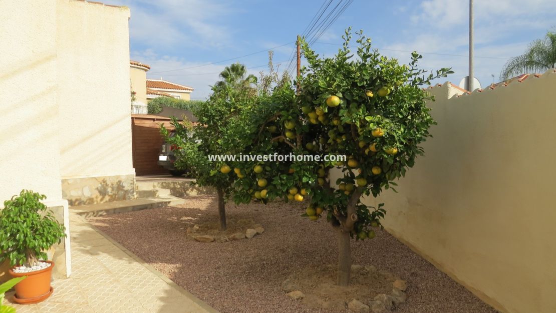 Sale - Villa - Rojales - Costa Blanca