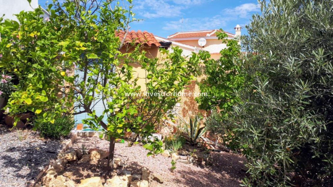 Sale - Villa - Rojales - Costa Blanca