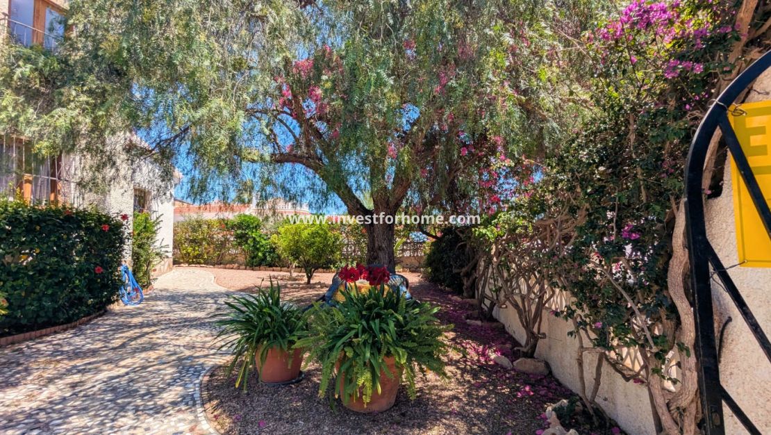 Sale - Villa - Rojales - Costa Blanca