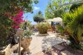 Sale - Villa - Rojales - Costa Blanca