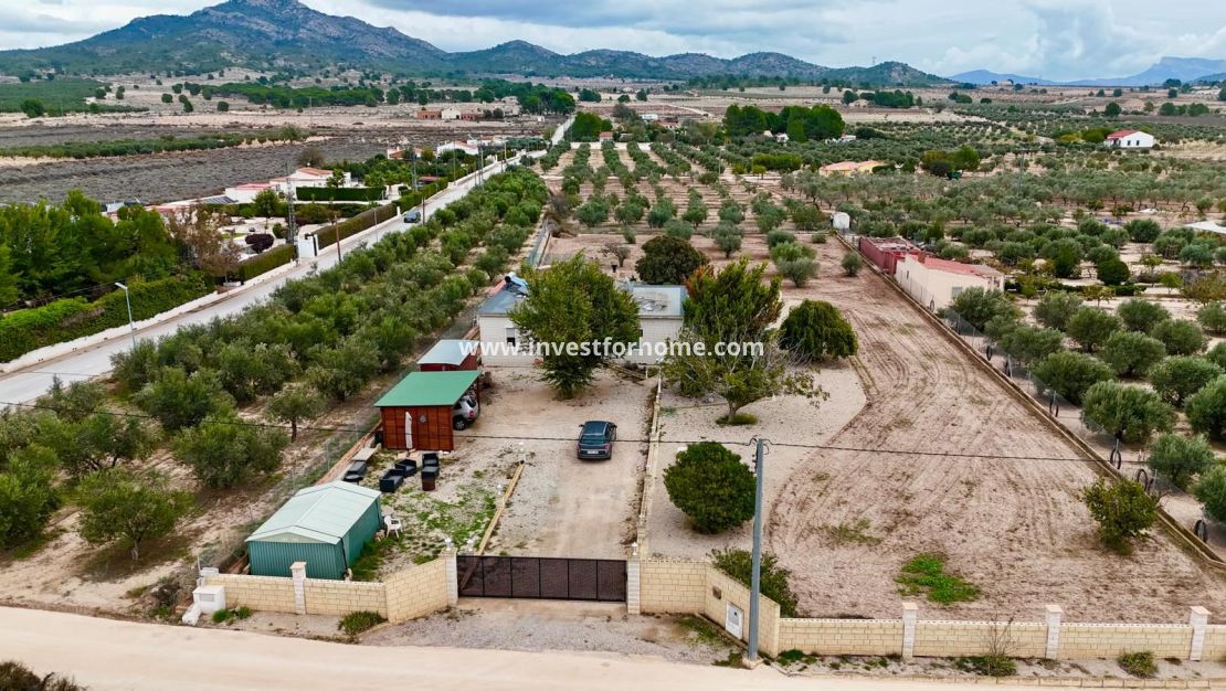 Sale - Villa - Salinas - Inland