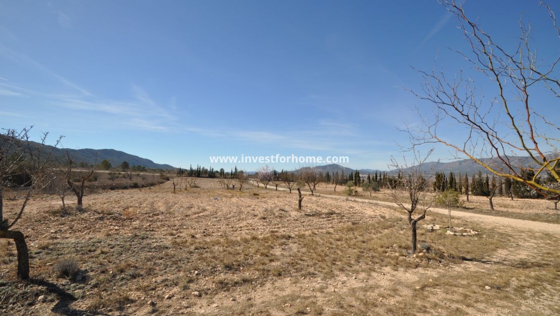 Sale - Villa - Salinas - Inland