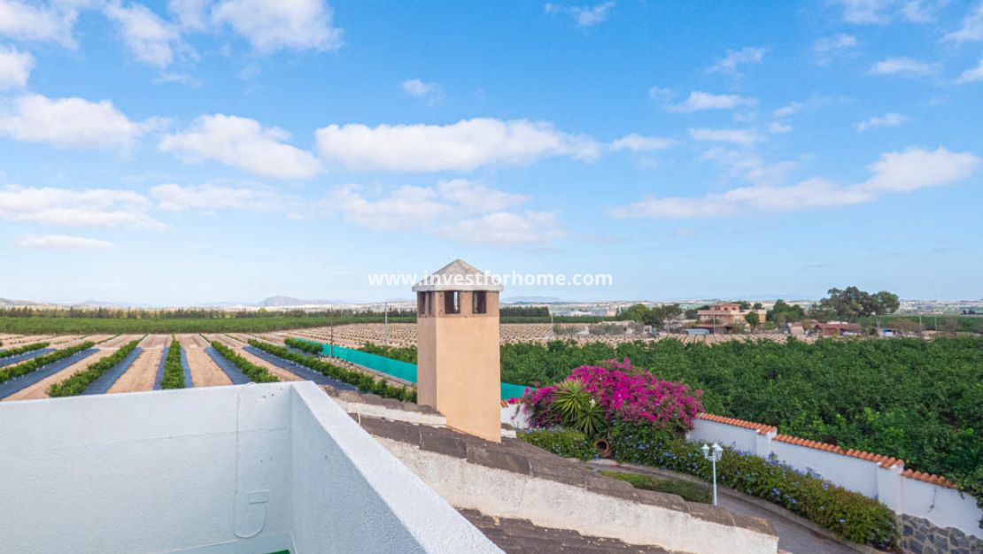 Sale - Villa - San Miguel de Salinas - Inland