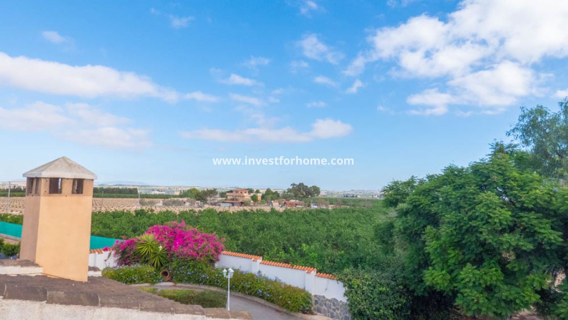 Sale - Villa - San Miguel de Salinas - Inland