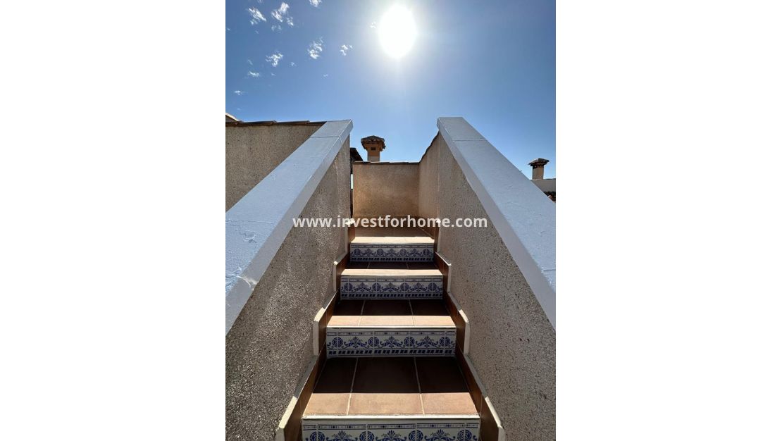 Sale - Villa - San Miguel de Salinas - Inland
