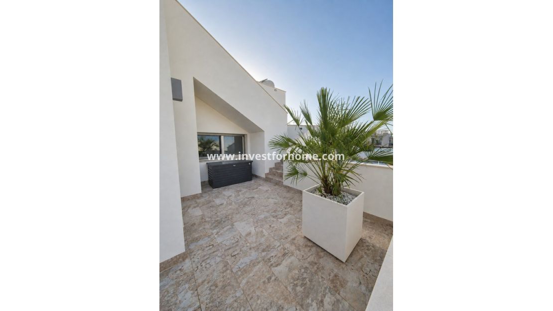 Sale - Villa - San Miguel de Salinas - Inland