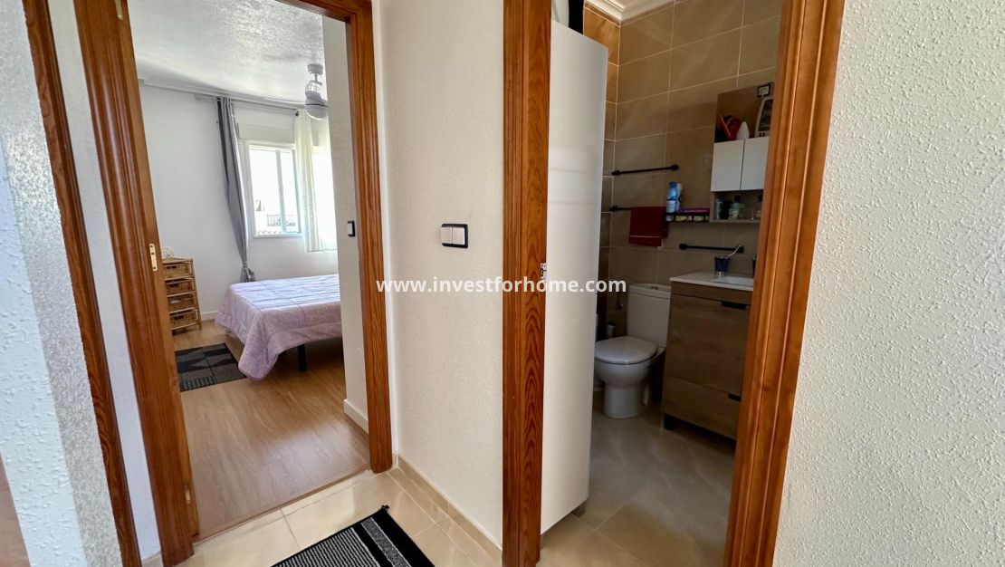 Sale - Villa - San Miguel de Salinas - Residencial Los Flamencos