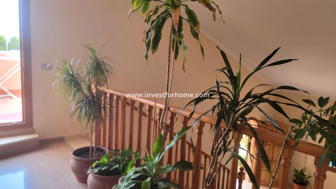 Sale - Villa - Torrevieja - aguas nuevas