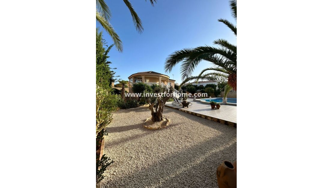 Sale - Villa - Torrevieja - aguas nuevas