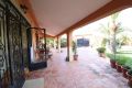 Sale - Villa - Torrevieja - Costa Blanca