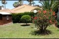 Sale - Villa - Torrevieja - Costa Blanca