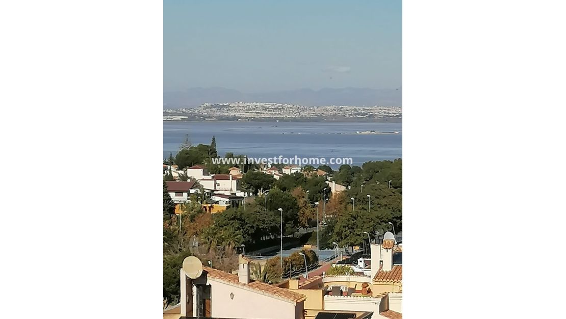 Sale - Villa - Torrevieja - Costa Blanca