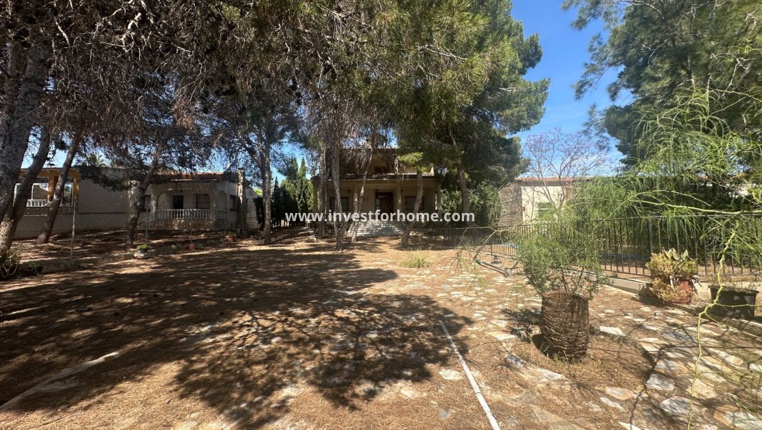 Sale - Villa - Torrevieja - Costa Blanca