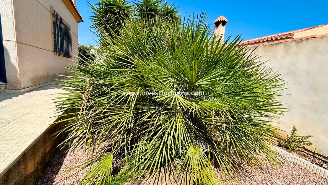 Sale - Villa - Torrevieja - Costa Blanca