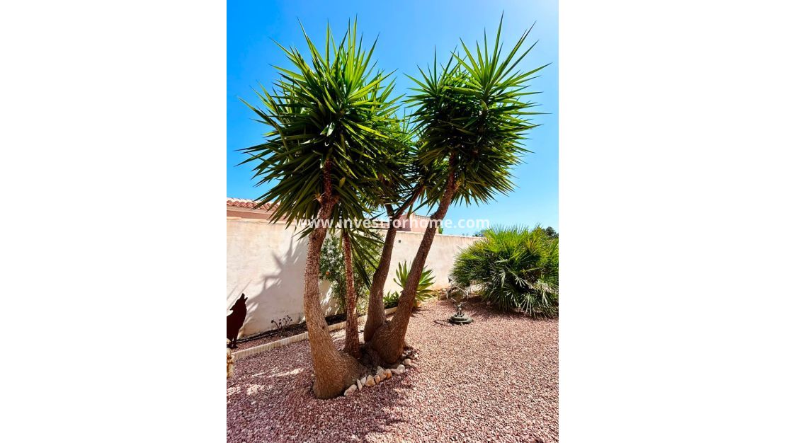 Sale - Villa - Torrevieja - Costa Blanca