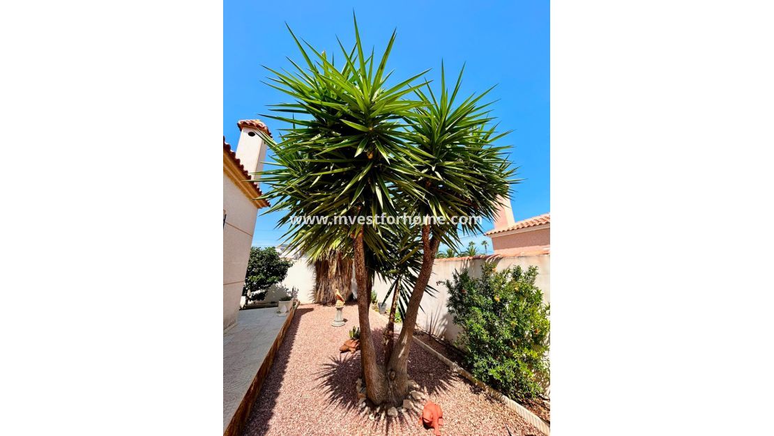 Sale - Villa - Torrevieja - Costa Blanca