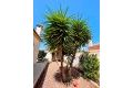 Sale - Villa - Torrevieja - Costa Blanca
