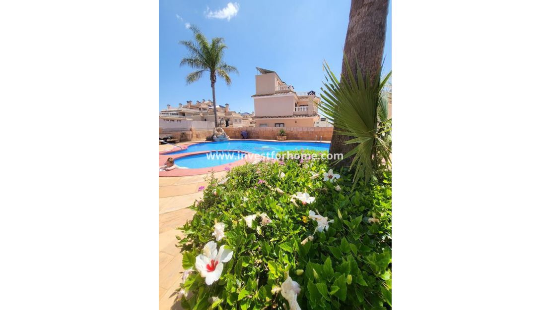 Sale - Villa - Torrevieja - Costa Blanca