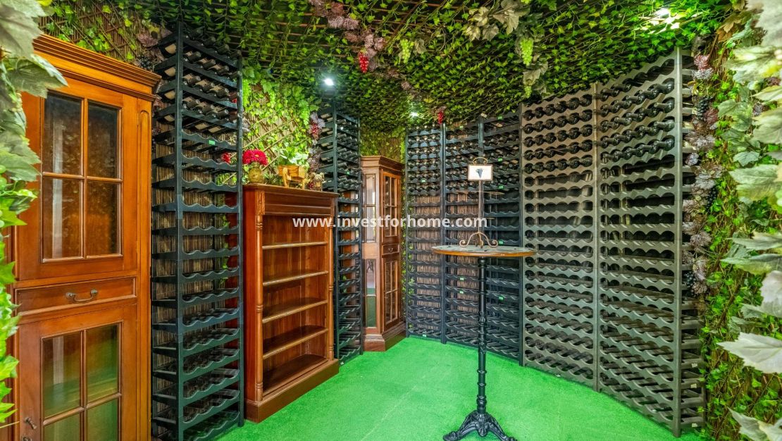 Sale - Villa - Torrevieja - El Chaparral