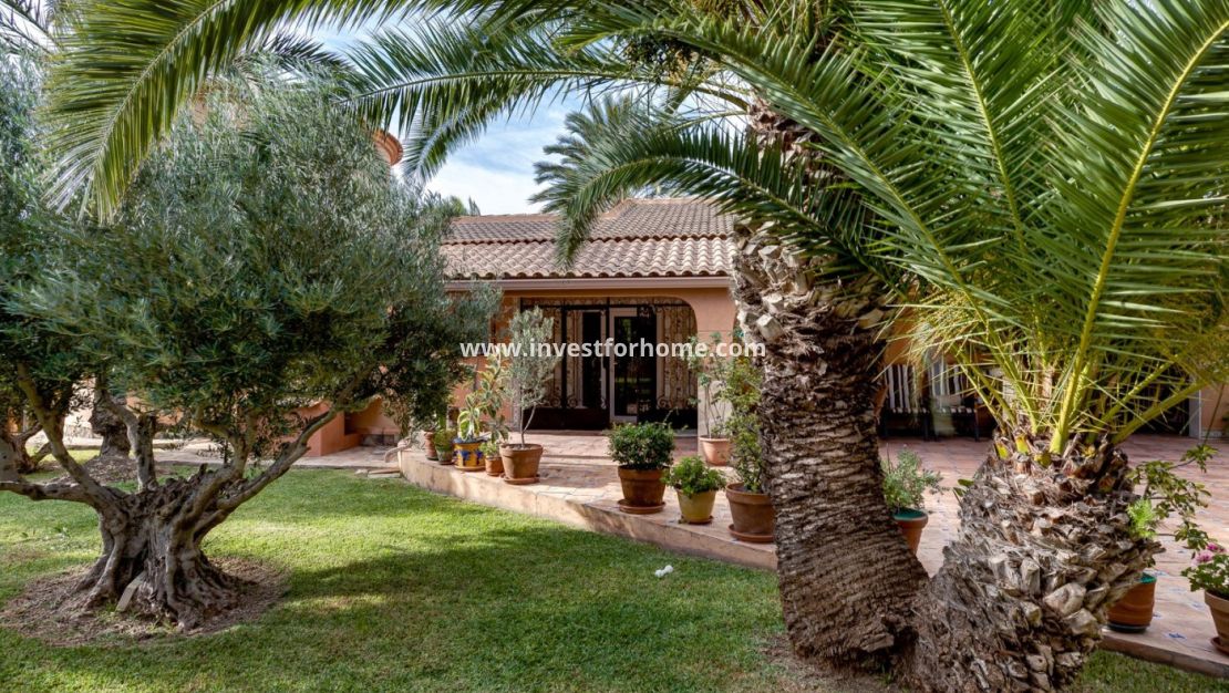 Sale - Villa - Torrevieja - La Siesta-El Chaparral