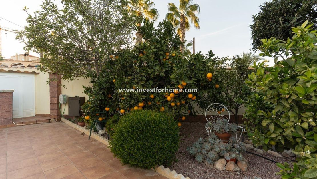 Sale - Villa - Torrevieja - Los Balcones - Los Altos Del Edén