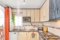 Sale - Villa - Torrevieja - Los Balcones - Los Altos Del Edén