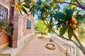 Sale - Villa - Torrevieja - Los Balcones - Los Altos Del Edén