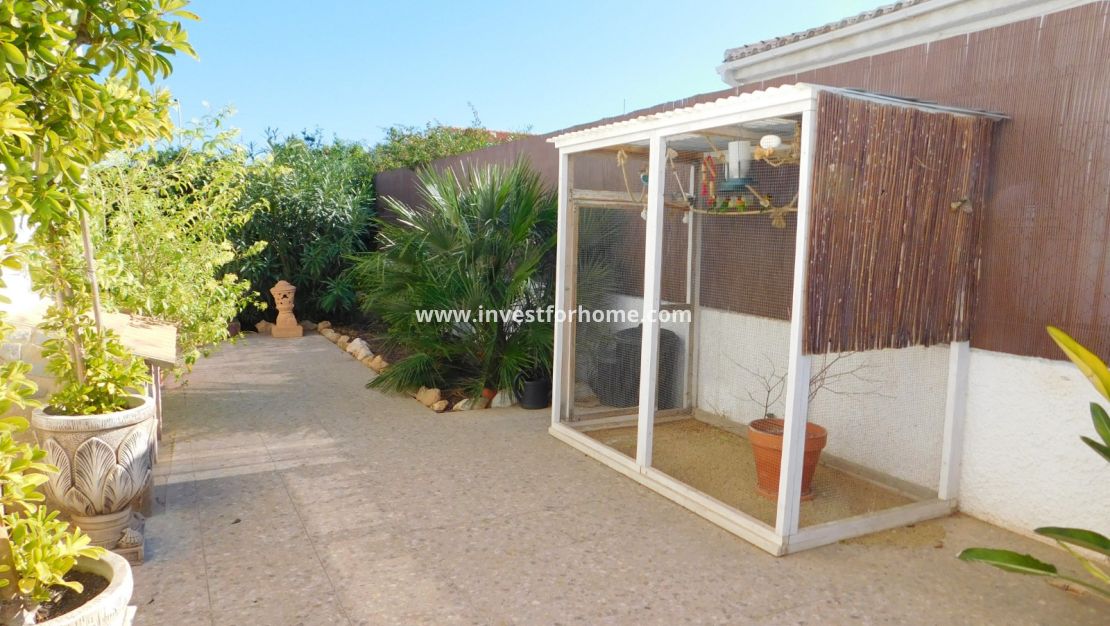 Sale - Villa - Torrevieja - San Luis