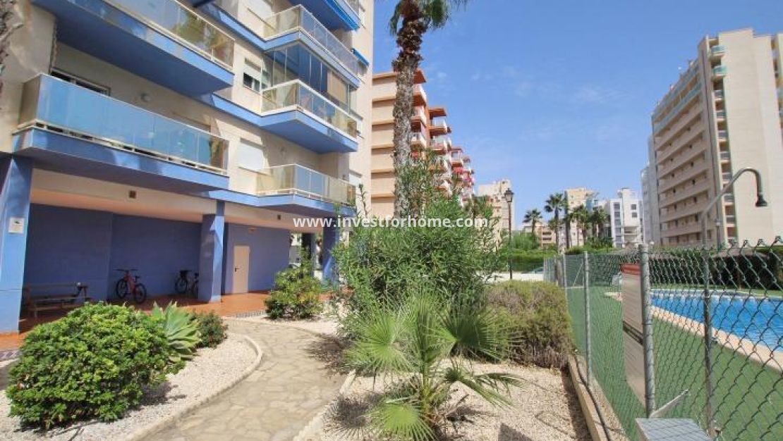 Vente - Appartement - Guardamar del Segura - Avenida del Puerto