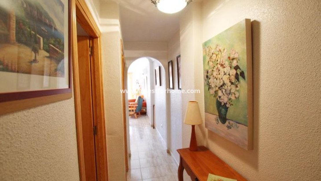 Vente - Appartement - Guardamar del Segura - Centro