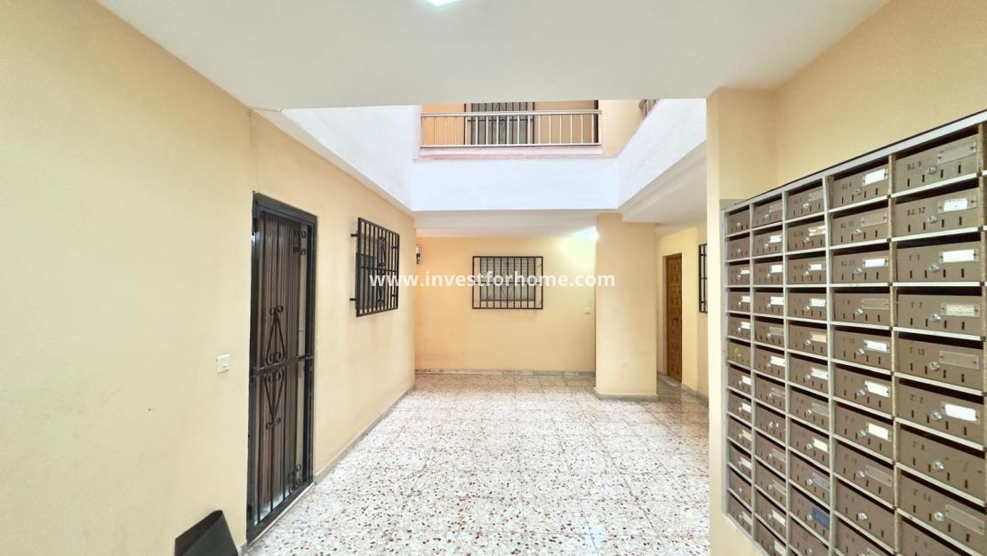 Vente - Appartement - Guardamar del Segura - Centro