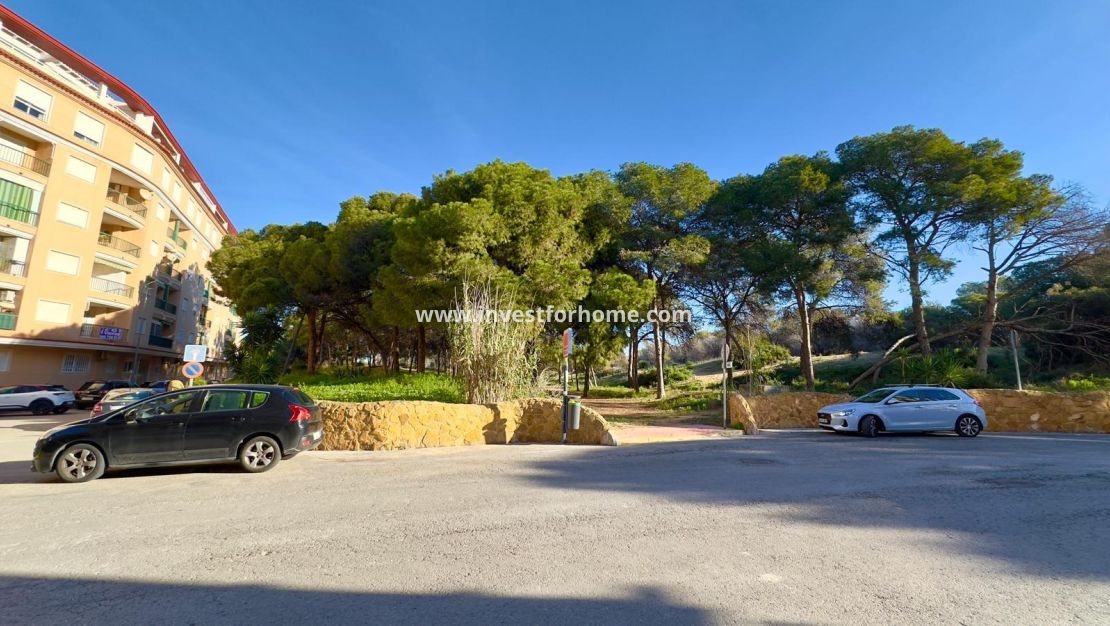 Vente - Appartement - Guardamar del Segura - Centro