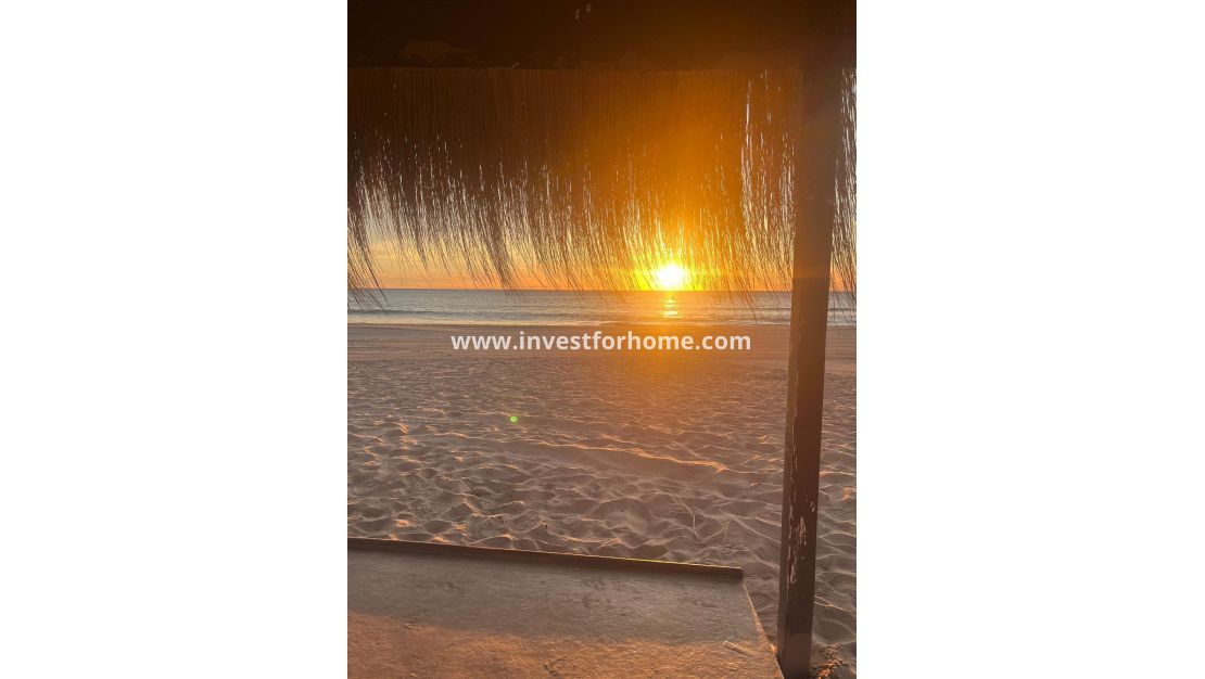 Vente - Appartement - Guardamar del Segura - Centro