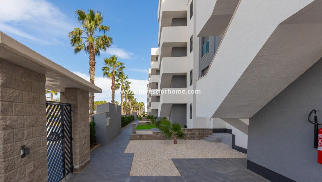 Vente - Appartement - Guardamar del Segura - El Raso