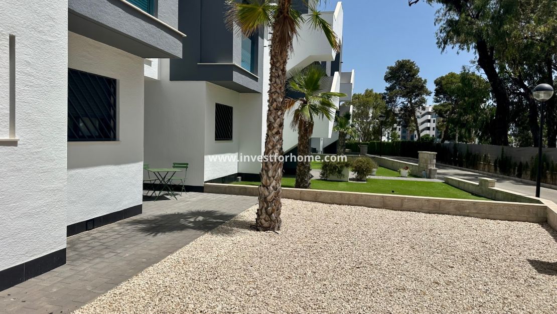 Vente - Appartement - Guardamar del Segura - El Raso