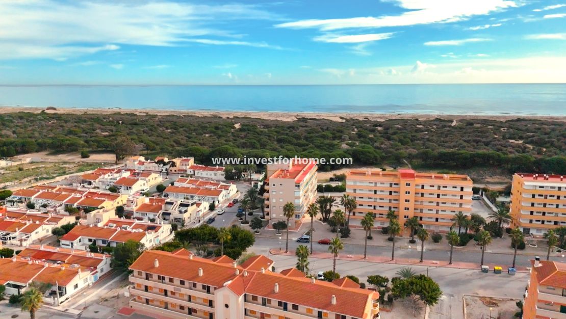 Vente - Appartement - Guardamar del Segura - Pinomar