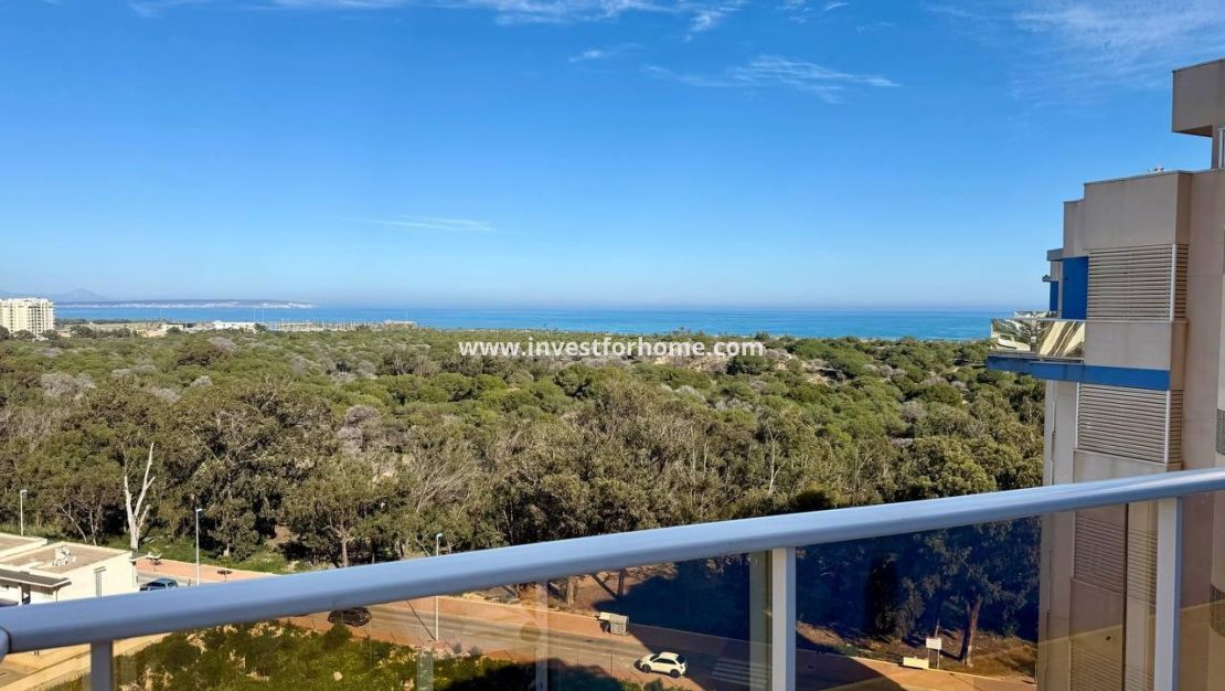 Vente - Appartement - Guardamar del Segura - Puerto