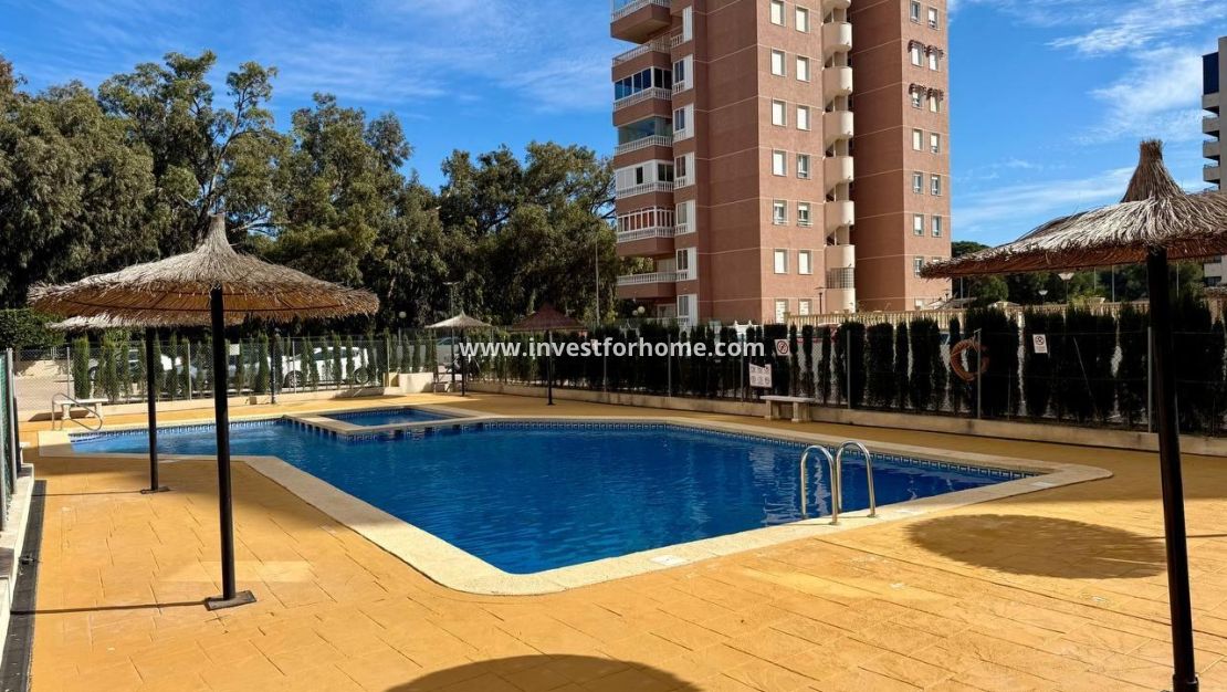 Vente - Appartement - Guardamar del Segura - Puerto