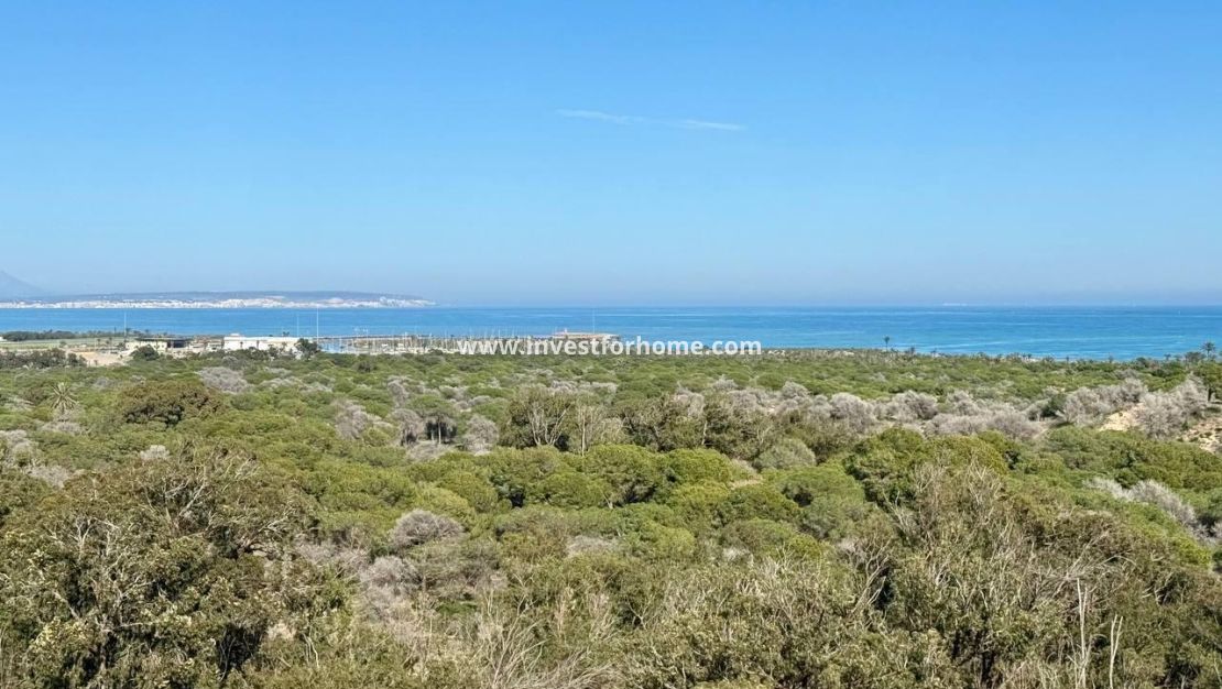 Vente - Appartement - Guardamar del Segura - Puerto