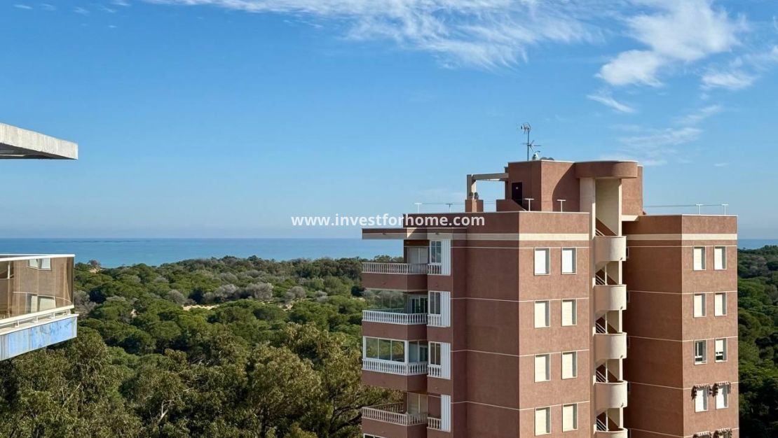 Vente - Appartement - Guardamar del Segura - Puerto
