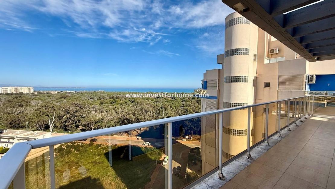 Vente - Appartement - Guardamar del Segura - Puerto
