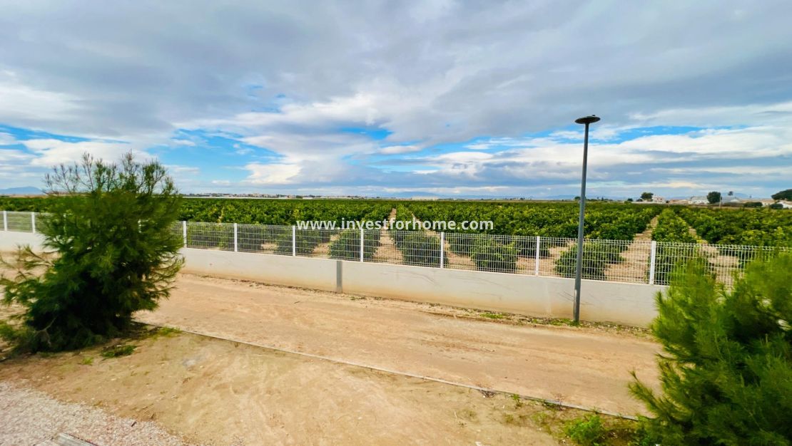 Vente - Appartement - Los Alcázares - Santa Rosalía