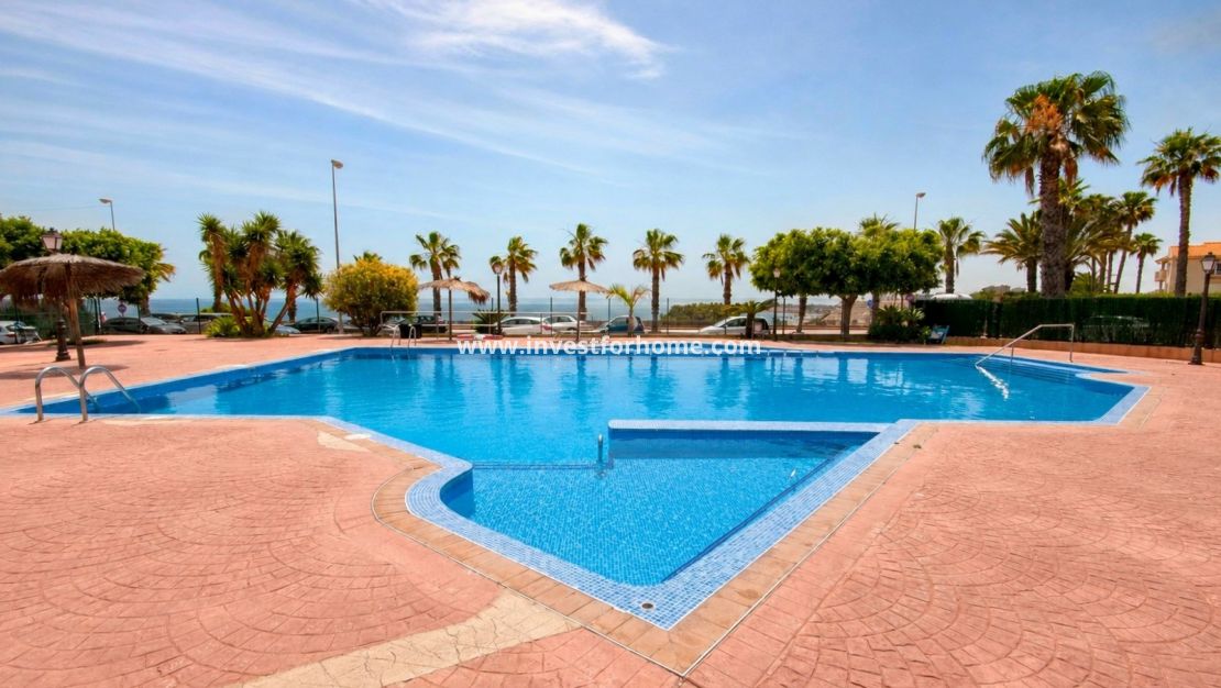 Vente - Appartement - Orihuela Costa - Agua Marina