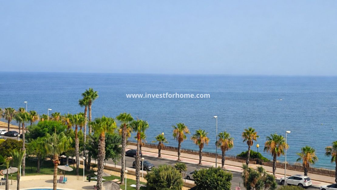 Vente - Appartement - Orihuela Costa - Agua Marina