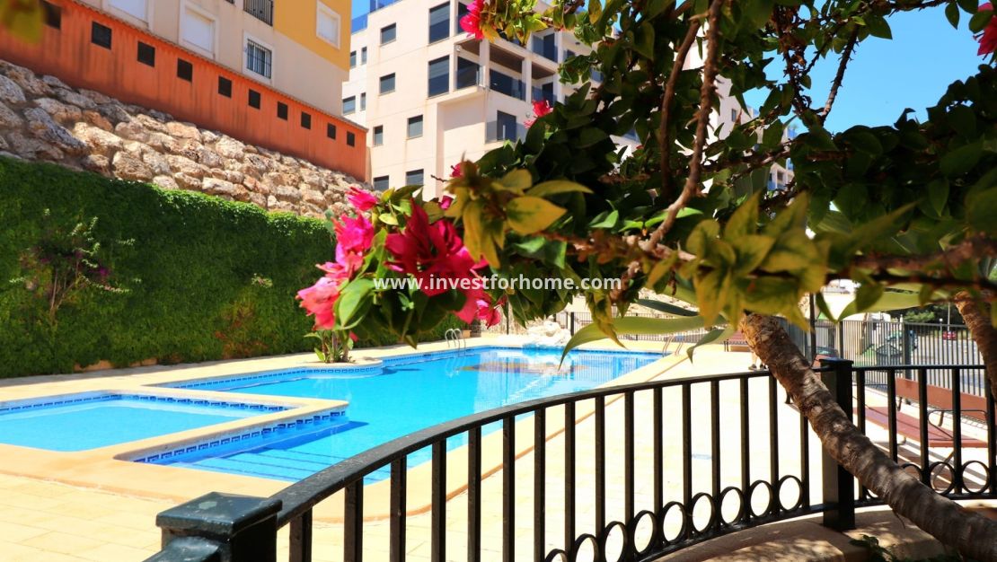 Vente - Appartement - Orihuela Costa - Campoamor