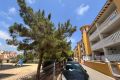 Vente - Appartement - Orihuela Costa - Costa Blanca