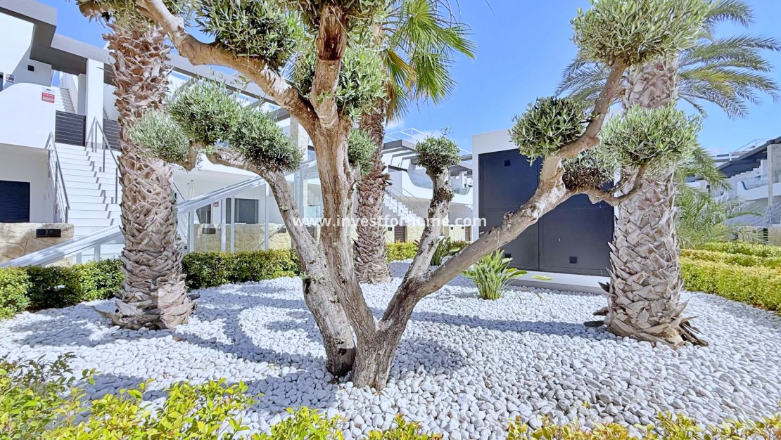 Vente - Appartement - Orihuela Costa - Costa Blanca