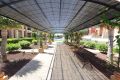 Vente - Appartement - Orihuela Costa - Costa Blanca