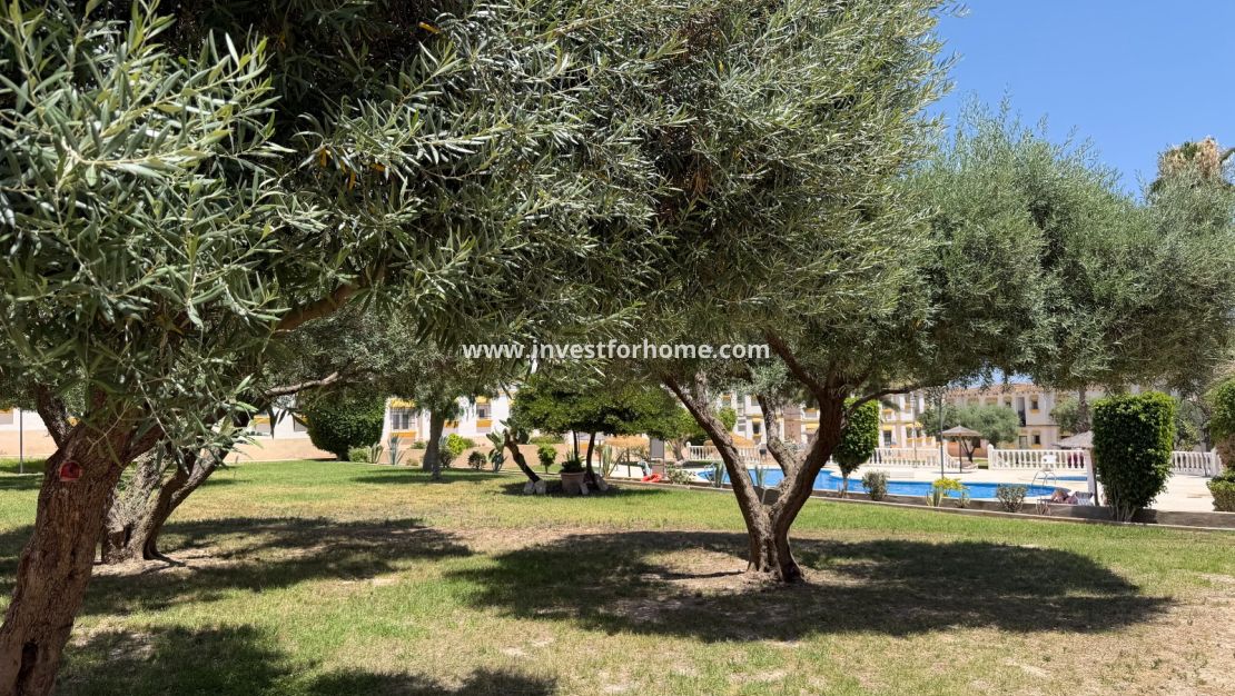 Vente - Appartement - Orihuela Costa - Costa Blanca