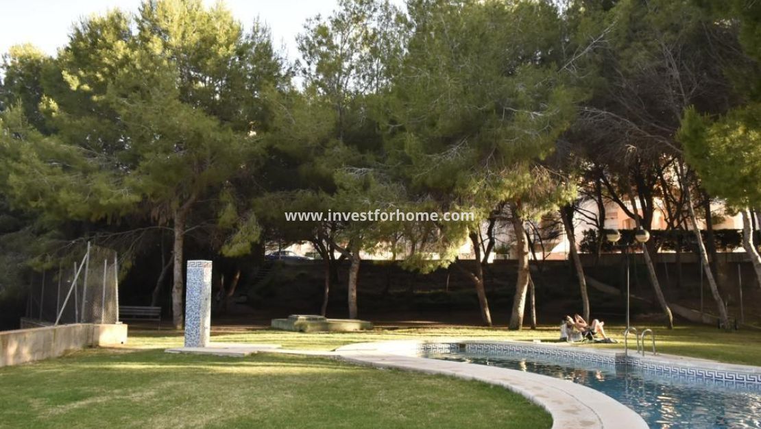 Vente - Appartement - Orihuela Costa - Dehesa De Campoamor